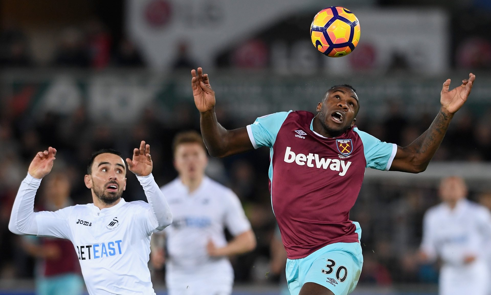 能挑战雄鹿 能挑战雄鹿